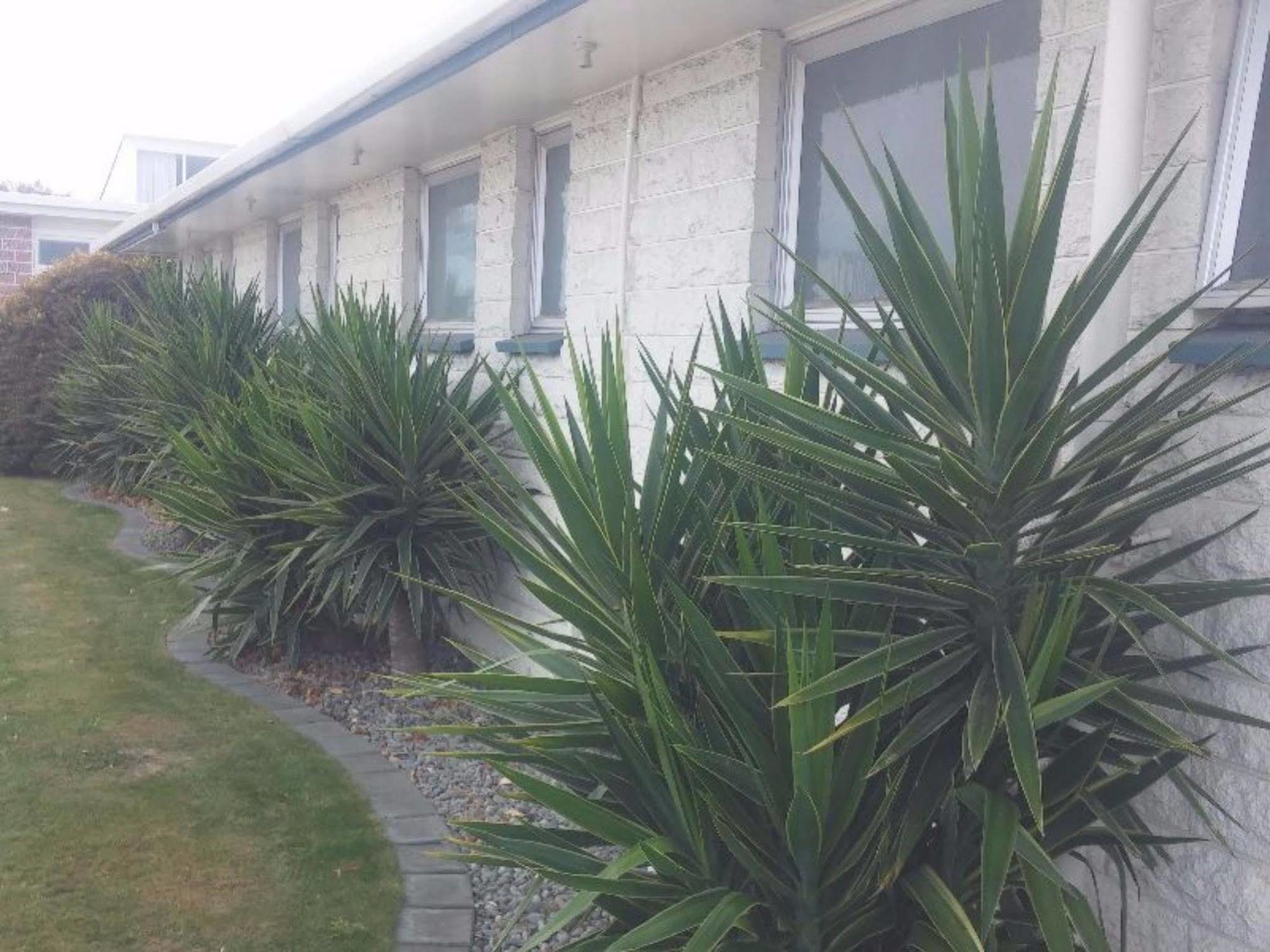 Raymar Motor Inn Blenheim Dış mekan fotoğraf